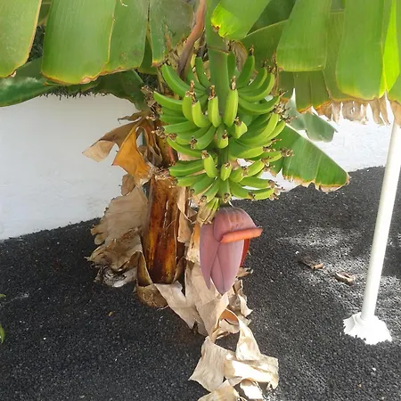 公寓 Livvo Erika (adults Only)