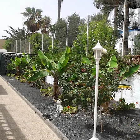 公寓 Livvo Erika (adults Only)