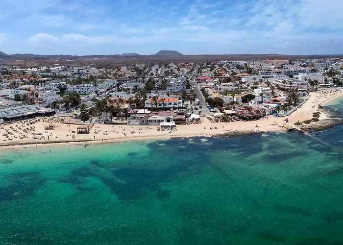 Livvo Erika (adults Only)