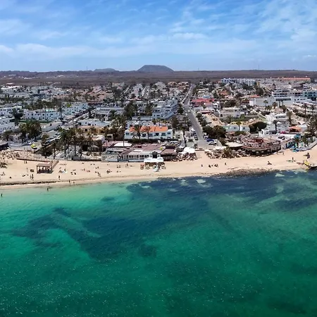 Livvo Erika (adults Only)